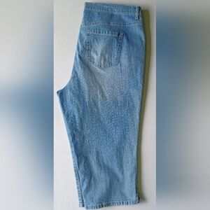 Gloria Vanderbilt Amanda All-Around Slimming Effect Capri Denim Jeans